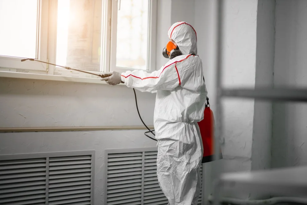 Professional mold remediation services in Kyle, TX